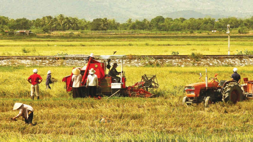 Góp ý văn kiện: Nông dân phải hiểu "phát triển bền vững" là gì